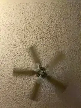 Cam4 Adult Webcam of kgar1515