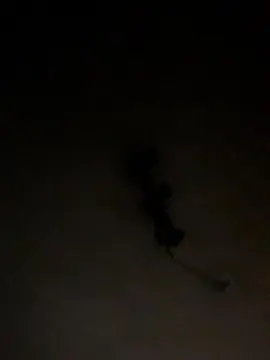 Cam4 Live Porn of Yoel_Leon