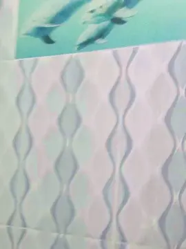 Cam4 Private Sex Chat of WilterdeCam