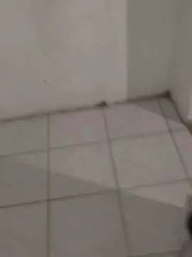 Cam4 Free Porn Cam of Pinoquio777