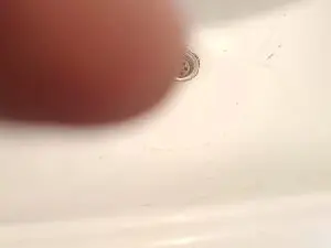 Cam4 Sex Chat of CCComandante