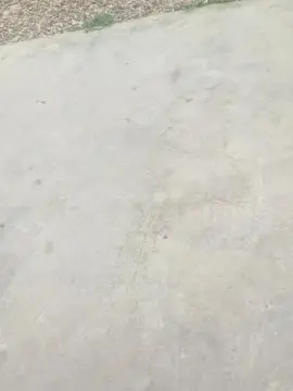 Cam4 Sex Chat of Nahme069