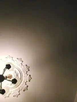 Cam4 Live Sex of floridasara