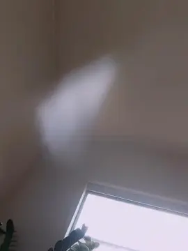 Cam4 Adult Video Chat of Sexudiag