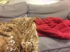 Cam4 Watch Live Sex Cams of bert0bearbaby