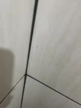 Cam4 Free Porn Cam of Eduardo192809