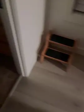 Cam4 Live Sex of Rhinodaddy69