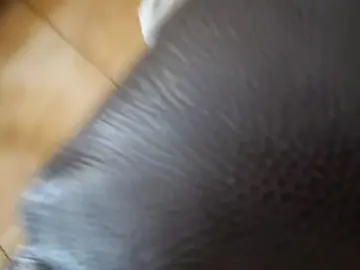 Cam4 Live Porn of wildhotboy