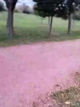 Cam4 Live Sex of aykut_xxx