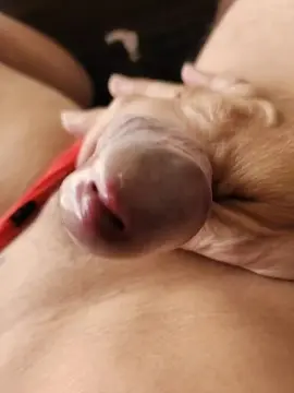 Cam4 Best live sex cam show of izuakii