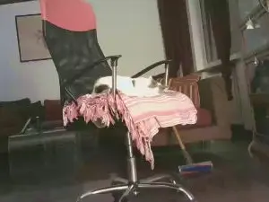 Cam4 Live Porn of vecchioporco7