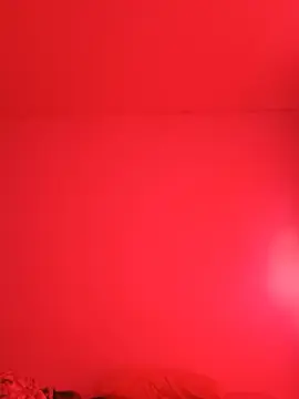 Cam4 Sex Chat of TradicionCANERA