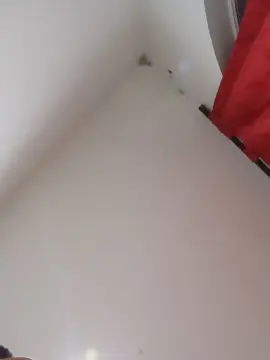 Cam4 Adult Video Chat of TradicionCANERA