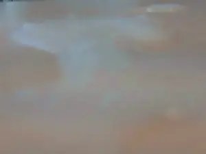 Cam4 Sex Chat of Arne_nrw_bi