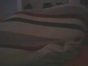 Cam4 Live Sex Cam of ariscomexican