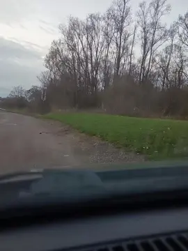 Cam4 Free Live Porn of Ludo6262