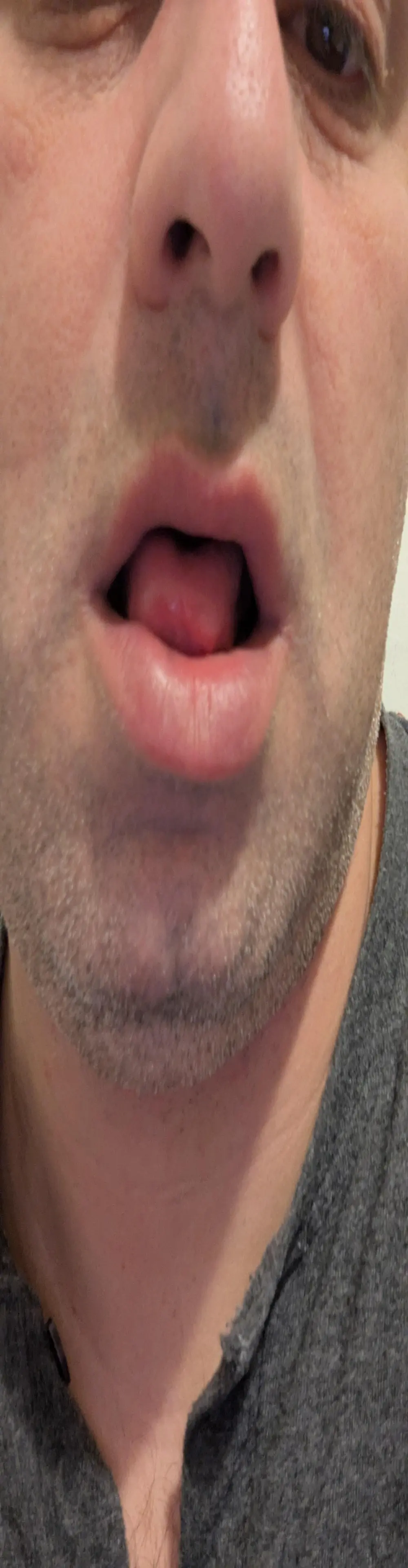 daariu