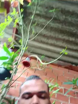 Cam4 Free Live Porn of Poptreze