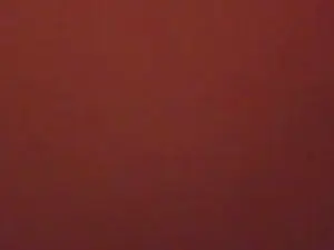 Cam4 Best Webcam of Peludopijon