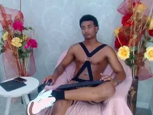 Cam4 Free Live Porn of dani_dick_vc