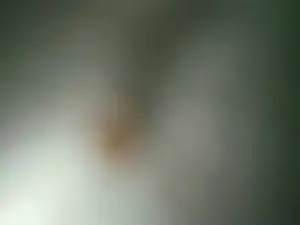 Cam4 Adult Webcam of MisterT88