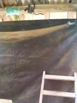 Cam4 Sex Chat of Alisonjuenendun