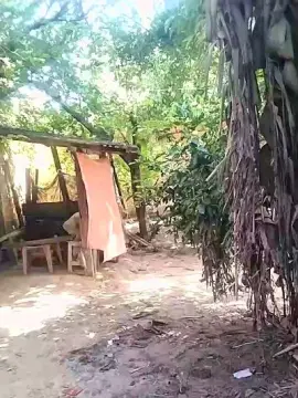 Cam4 Best Webcam of Alisonjuenendun