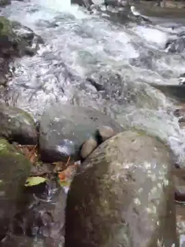 Cam4 Adult Webcam of Clark_Jhonz