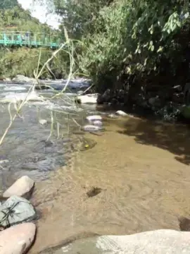 Cam4 Sex Cam of Clark_Jhonz