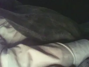 Cam4 Private Sex Chat of esox77