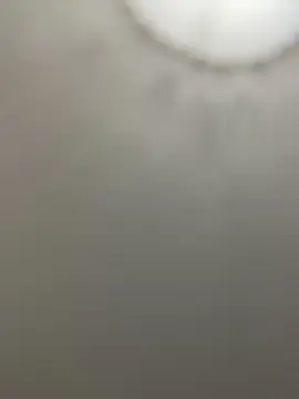 Cam4 Live Porn of solo351