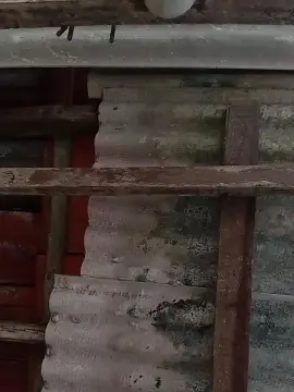 Cam4 Adult Video Chat of Dubolt22