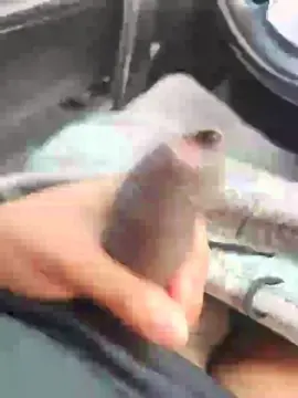 Cam4 Sex Chat of Empresariohot69