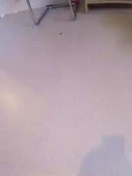 Cam4 Free Live Porn of Manonxnib