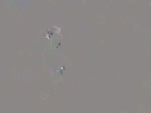 Cam4 Private Sex Chat of spain_worker