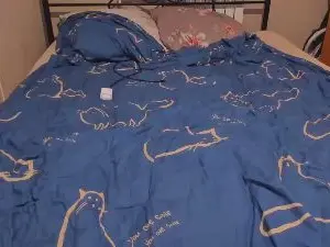 Cam4 Sex Cam of eva_zero