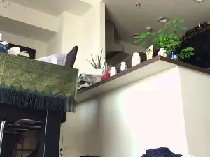 Cam4 Live Porn of japatokyo