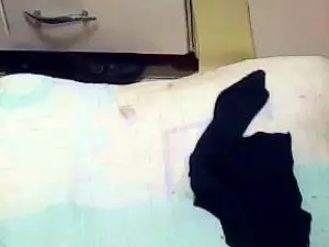 Cam4 Free Porn Cam of pacharrumba