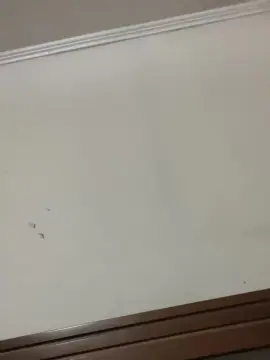 Cam4 Best Webcam of Loyaltyeefe47