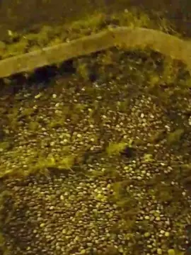 Cam4 Sex Chat of slipbagnato