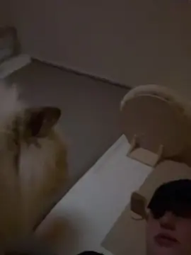 Cam4 Adult Webcam of 2bestieshavefun