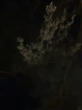 Cam4 Adult Webcams of Maxpenezote