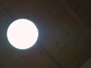 Cam4 Live Sex of luuisitoo