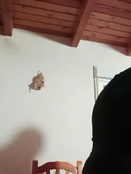 Cam4 Adult Webcam of pimpam18