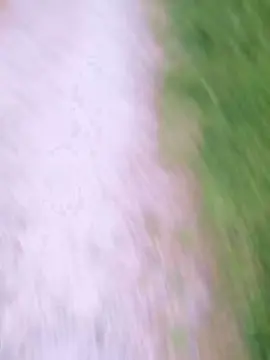 Cam4 Private Sex Chat of fox6900