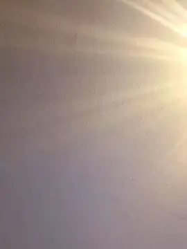 Cam4 Adult Video Chat of loje3