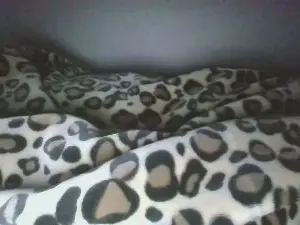 Cam4 Best Webcam of bremenaktive