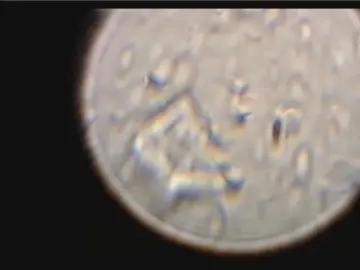 Cam4 Best live sex cam show of ichigojam1