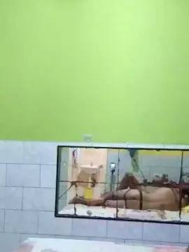 Cam4 Sex Chat of SegundoIves