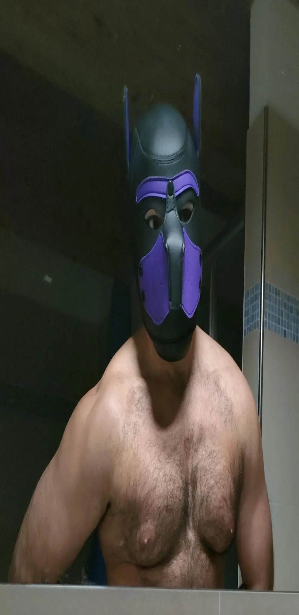 Hairypuppy82